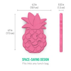 Bentgo Buddies Reusable Ice Packs (4-Pack) -Bentgo bentgo buddies ice packs fruit 5